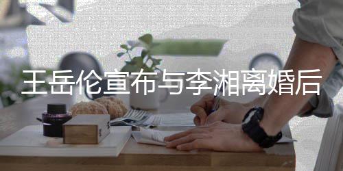 么回布与后又景介人资删除是怎事绍王岳王岳伦宣李湘离婚伦个料背