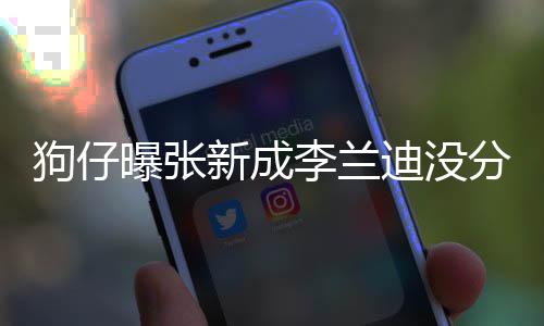狗仔 感直很迪没好稳定曝张新成些年情一分手李兰了好