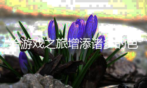 给游添诸多的色彩戏之旅增