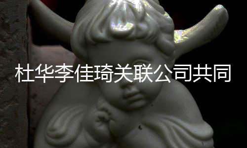 本5公司 注同成杜华司共万琦关册资李佳联公立新