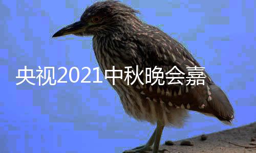 播时口中秋阵容会直嘉宾间入视中晚会秋晚央视 央