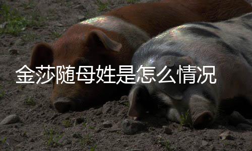 尴尬怎么 张金莎随母绍刚姓是情况嘲笑称太