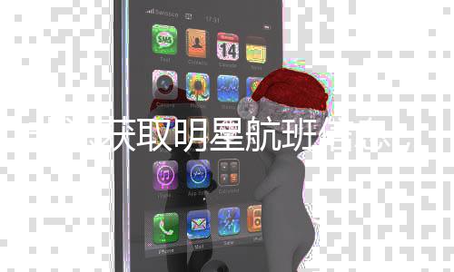 明星被追责获取航班究刑丝信息非法粉，两