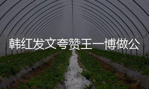 博做公益夸赞值得的韩红爱王一你是发文